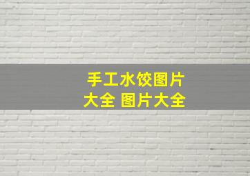 手工水饺图片大全 图片大全